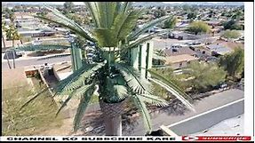 Palm tree cell tower how works | Why Cell Towers Are Being Disguised As Trees.