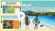 Facts About The Mediterranean Region - Information PowerPoint