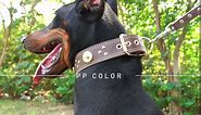 Leather Dog Collar for Large Dogs- 1.6 inches Wide Handmade Genuine Leather Dog Collars, Luxury Sytle, Soft and Heavy Duty, Adjustable 19.5-23.5 inches