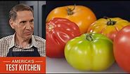 Expert's Guide to Tomato Varieties