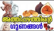 അത്തിപ്പഴത്തിന്‍റെ ഗുണങ്ങൾ | Benefits of Fig Fruits | TASTY WORLD | Athi pazham Health Benfits