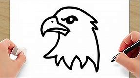How to Draw Bald Eagle Head