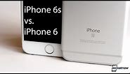 iPhone 6s vs. iPhone 6 | Pocketnow