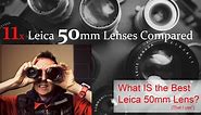 Leica M 50mm Lenses Compared (x11)  Leica Lens Guide!