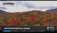 Stunning Fall Foliage Colors In The White Mountains