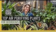 Unbelievable Air Purifier: These 2023 Bedroom Plants Release Oxygen!