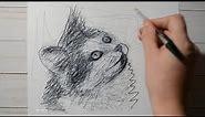 Scribble Art #76 / Draw Your Pets / Cat Looking Up / Ballpoint Pen Drawing