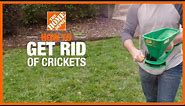 How to Get Rid of Crickets | DIY Pest Control | The Home Depot