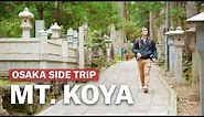 Osaka Side Trip to Mt. Koya | japan-guide.com