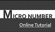 Micro Number in java using BlueJ(With Code)