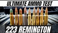 223 Remington Ammo Test!!! [CZ 600 Trail]