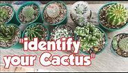 Cactus Names with Pictures - Types of Cactus
