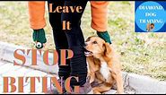 Stop Puppy Biting Ankles Feet/Teach Puppy Leave It