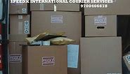 International courier - Speedx