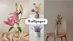 Beautiful & Gorgeous Flowers In Pot/Vase 🌺🌼 || Wallpaper For Mobile || OJEBAR244