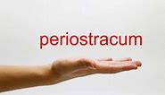 How to Pronounce periostracum - American English