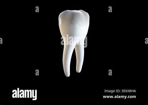 3d tooth animation. Isolated rotating 3d tooth model. filling and pin in the tooth. Soaring beautiful white dental 3d rendering Stock Video Footage - Alamy