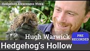 In conversation with Hugh Warwick for Hedgehog Awareness Week | Hedgehog's Hollow