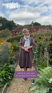 Perennials or annuals? At Sarah Raven we love them both  | Sarah Raven | Facebook