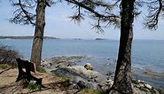 Mackworth Island - Visit Maine