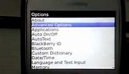 Manual GPRS settings on Blackberry (no Blackberry Service required)