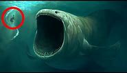 10 BIGGEST Underwater Creatures In The world!