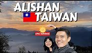 Our Visit to Alishan Taiwan: 5 Tips Before You Head There! 【中文字幕】