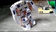 19 dof humanoid robot / Robotic demo video