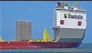 HMM ALGECIRAS PASS BOKA VANGUARD AT THE PORT OF ROTTERDAM - 4K SHIPSPOTTING NETHERLANDS 2023