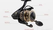 How a Spinning Reel Works