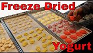 Freeze Dried Yogurt -- Greek Yogurt, Almond Yogurt, Pili Nut Yogurt