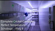 Complete Cricket Farm/ Perfect Temperature/ Vlog 9