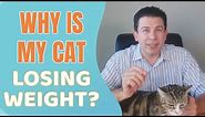 Signs your cat may have IBD/Lymphoma