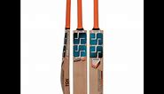 SS Master 500 English Willow Cricket Bat 2023