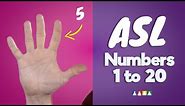 How to Count to 20 in Sign Language | ASL Numbers 1-20 | ASL Counting