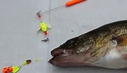 How to Fish the Spin-N-Glo from Yakima Bait
