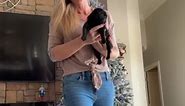🐾❤️#galaxyfarandbeyondpugs#pug #pugsofinstagram #puglife #puglove #pugs #dog #dogsofinstagram #pugstagram #dogs #pugpuppy #pugworld #pugoftheday #puppy #pugnation #puglover #mops #pugsnotdrugs #instapug #puglovers #dogstagram #love #doglover #pet #instadog #cute #blackpug #pugmania #pugloversclub #doglovers #dogoftheday | Galaxy Far and Beyond Pugs