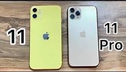 iPhone 11 vs iPhone 11 Pro in 2023 / iOS 17.1
