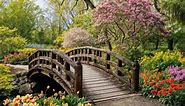 * Floral Wood Bridges Set * Let’s go outside for a scenic stroll in the beautiful park with lovely wooden bridges. 😍🥰 This lovely set includes 9 digital backdrops. Link in Bio to purchase this set. http://www.ColeArtBackdrops.com #digitalbackdrops #digitalbackdropsfornewborns #digitalbackdropsforsale #digitalbackgrounds #fineartphotography #fineartphoto #floweroverlays #digitaloverlay #canvasbackdrops #backdrops #photographybackdrops #portraitphotography #texturedbackdrop #photographers #flowe