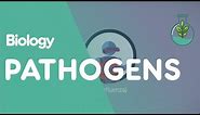 What Are Pathogens? | Health | Biology | FuseSchool