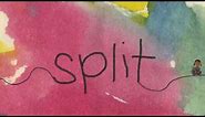 SPLIT: A film about divorce for children and thier parents