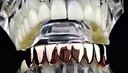 14k Rose Gold Plated Eight Tooth Bottom 8 Grillz Video