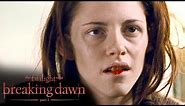 'Bella's First Taste of Blood' Scene | The Twilight Saga: Breaking Dawn - Part 1