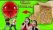 We Made World's Biggest Lollipop | World Record Broken | Hungry Birds