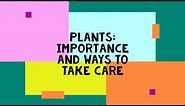 Plants: Importance and How to Take Care
