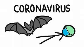 Why Do Bats Carry So Many Diseases? (like Coronavirus)