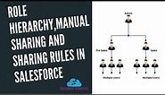 Roles,Role Hierarchy,Sharing Rules and Manual Sharing in Salesforce