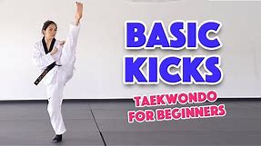 Learn Martial Arts: 3 Basic Kicks for Beginners