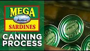 The Canning Process | How Sardines Are Made | The Mega Global Story
