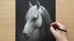 Charcoal Drawing of a White Horse